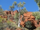 kings-canyon-2