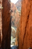 RED CENTRE