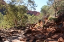 kings-canyon-1